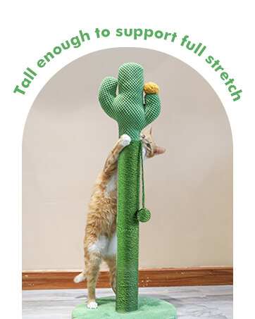 Tall Cat Scratching Post for Indoor Cats 83cm Cactus Cat Scratch Post Large Scratch Posts For Adult Cats Sisal Rope Covered Cat Post With Ball Sturdy Claw Scratcher Stable Base Heavy Duty 33inch 11 c81d40dc f664 461f aad7 cd1f45750b25. CR0,0,362,453 PT0 SX362 V1