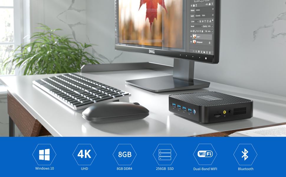 Amazon.com: MINISFORUM GK50 Fanless Mini PC 8GB DDR4 256GB