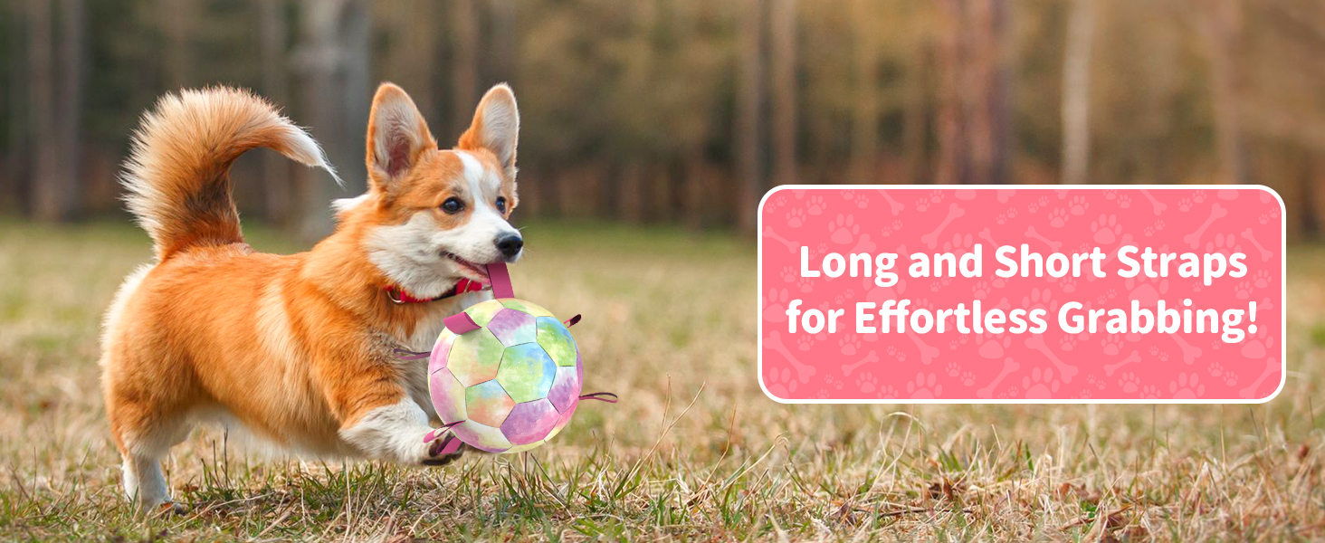 Dogs pick it up easily