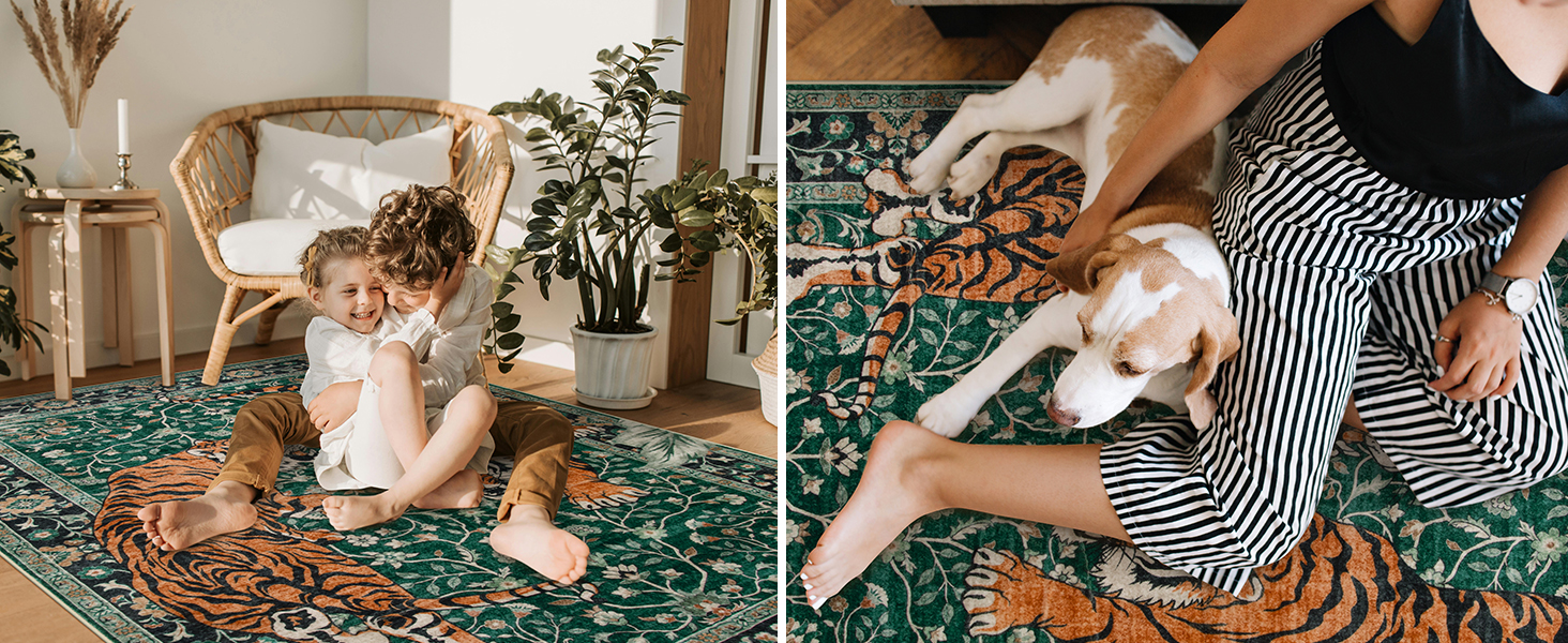 Easy Clean Rug