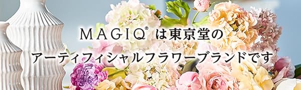 MAGIQ1