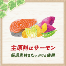 NaturaHa グレインフリーサーモン 700g×8袋（賞味期限2026.8） ナチュラハ グレインフリー サーモン＆野菜入り 成犬用 小粒