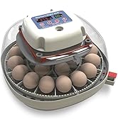 Manna Pro Harris Farms Nurture Right Incubator - Egg Incubator for Hatching Chicks - Holds 22 Egg...