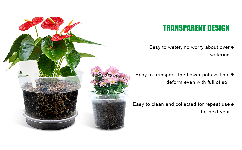 Transparency  clear nursery pots