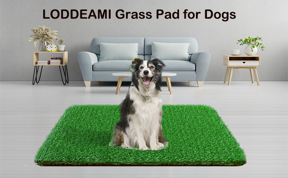 Grass Pad for Dogs Indoor Outdoor, Soft and Realistic