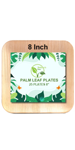 Small Square 8 Inch