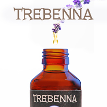 lavender diffuser oils pet friendly dryer balls natures truth essential oils by pure aroma oil