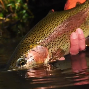 Small manufacture image 13