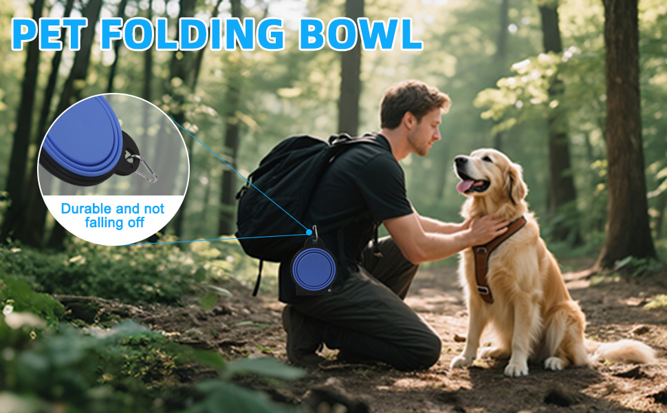 travel dog bowl
