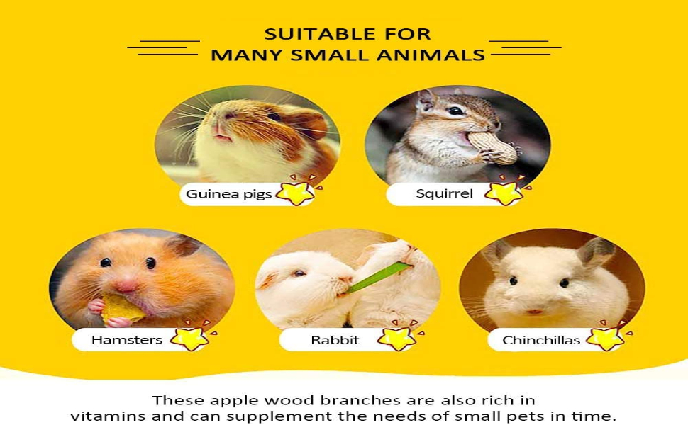 Apple Sticks Small Animals Molar Wood Toys for Rabbits Chinchilla