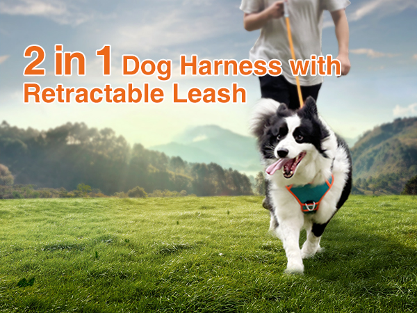 Poochbark 3 In 1 Dog Harness With Built-in Leash, Harness Lead Store