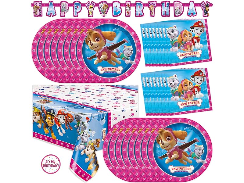 Amazon.com: Skye Paw Patrol Birthday Decorations | Serves 16