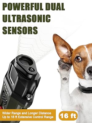 Dual Ultrasonic Sensors