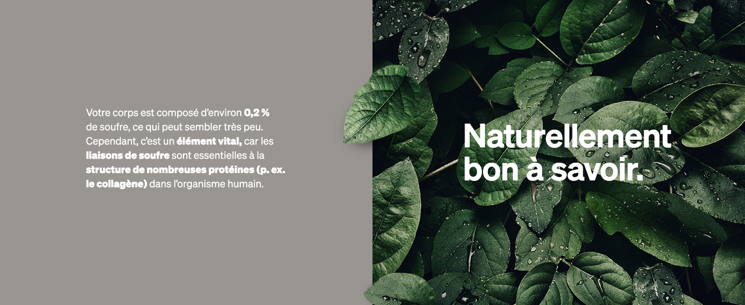 Image divisée : le côté gauche est gris, le côté droit montre un gros plan de feuilles vertes. Texte français « Naturellement bon à savoir » superposé sur l'image