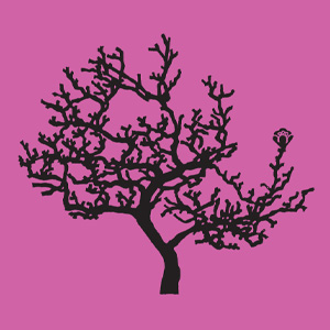 imagem interna do livro