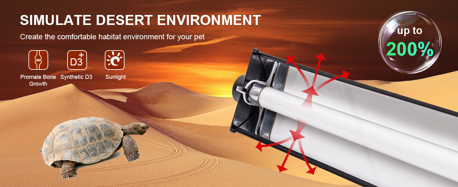 SIMULATE DESERT ENVIRONMENT