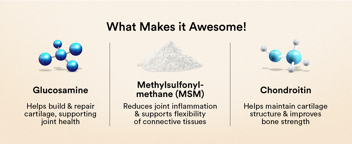 bone and joints supplements