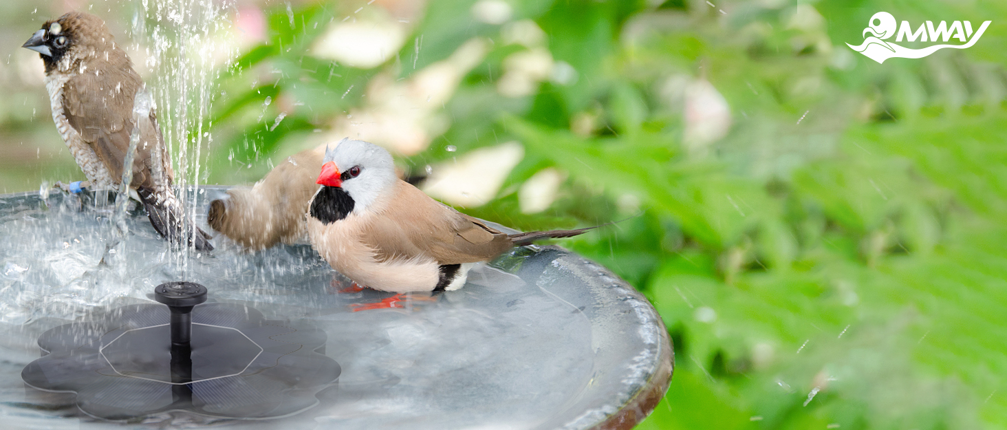 solar water fountain