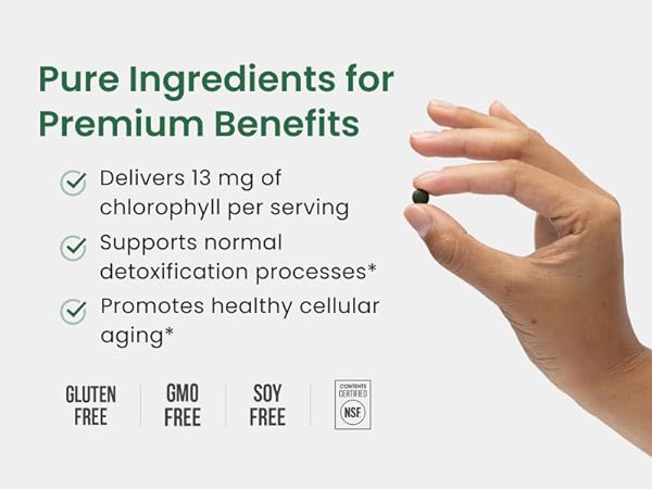 Pure Ingredients for Premium Benefits
