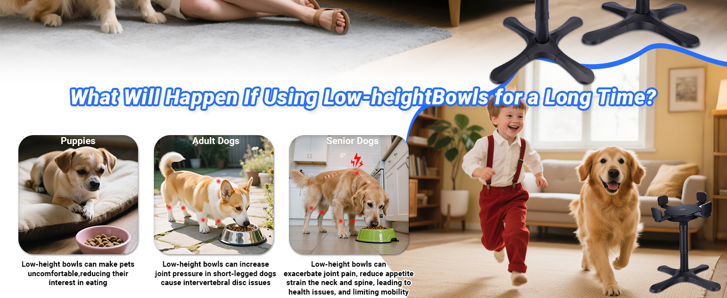 dog bowls elevated