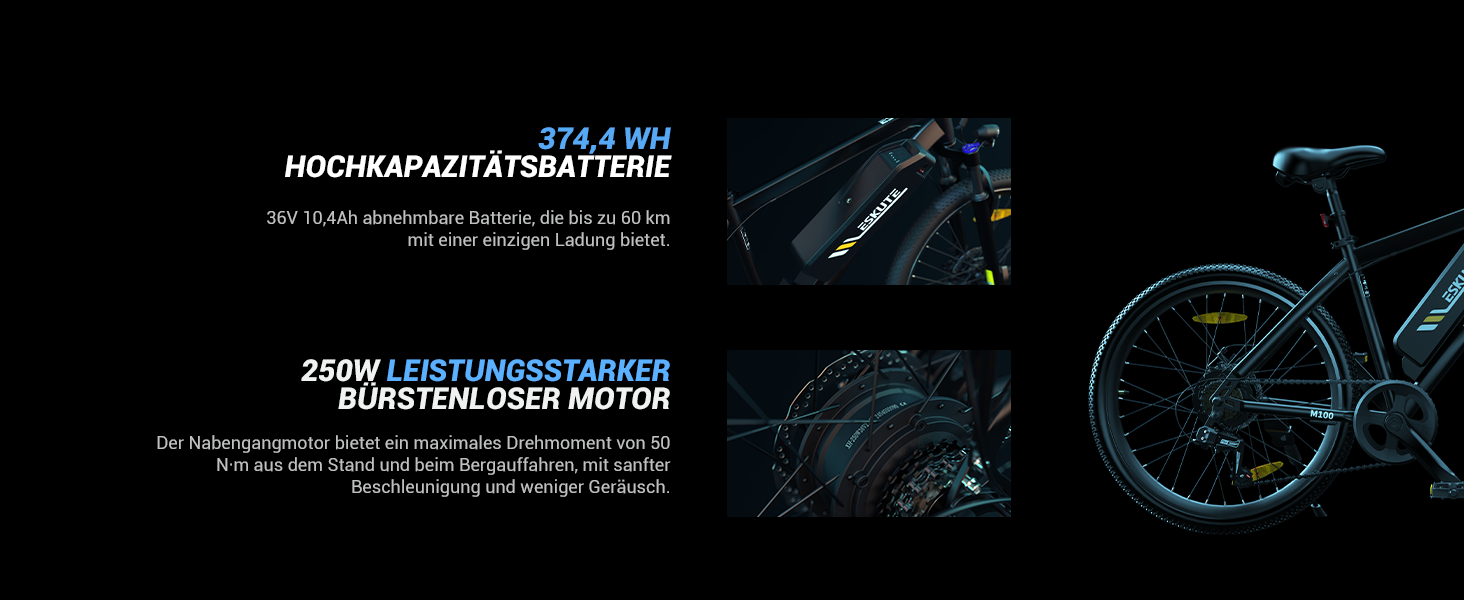 ebike herren