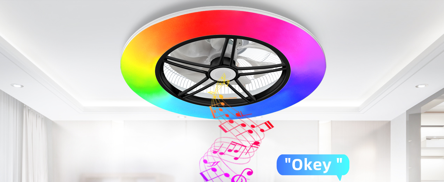 ceiling fan with lights
