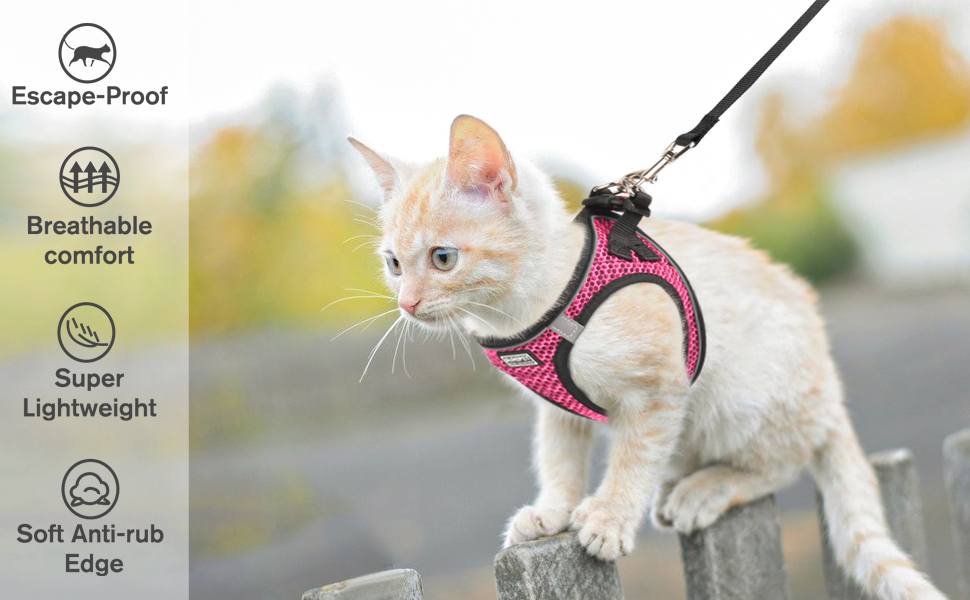 cat kitten vest harness and leash set escape proof walking 