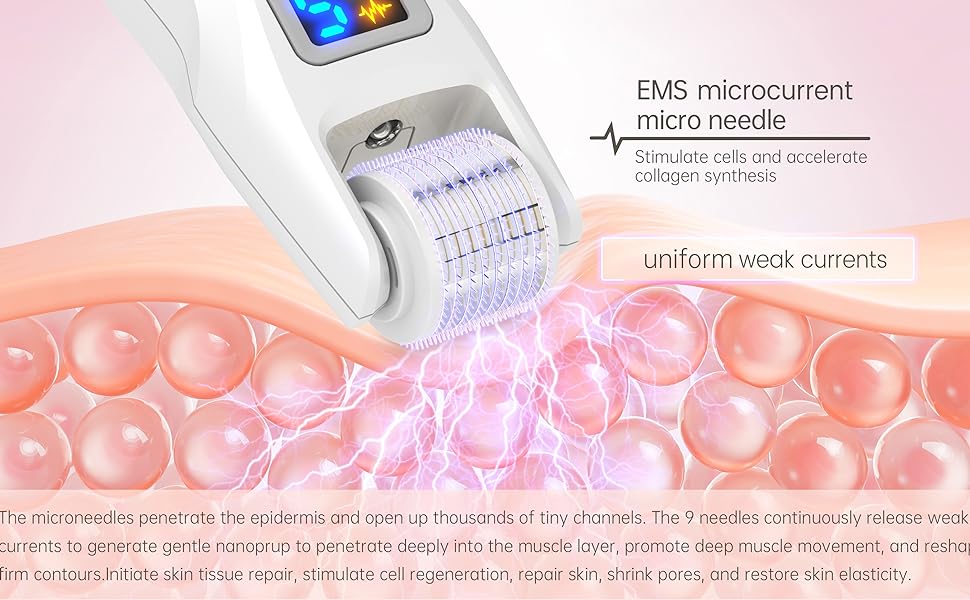 Bio Roller Micronaalden Professionele Kit