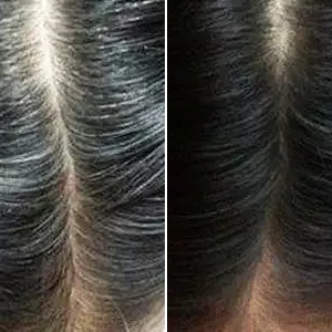 spartan hair bar