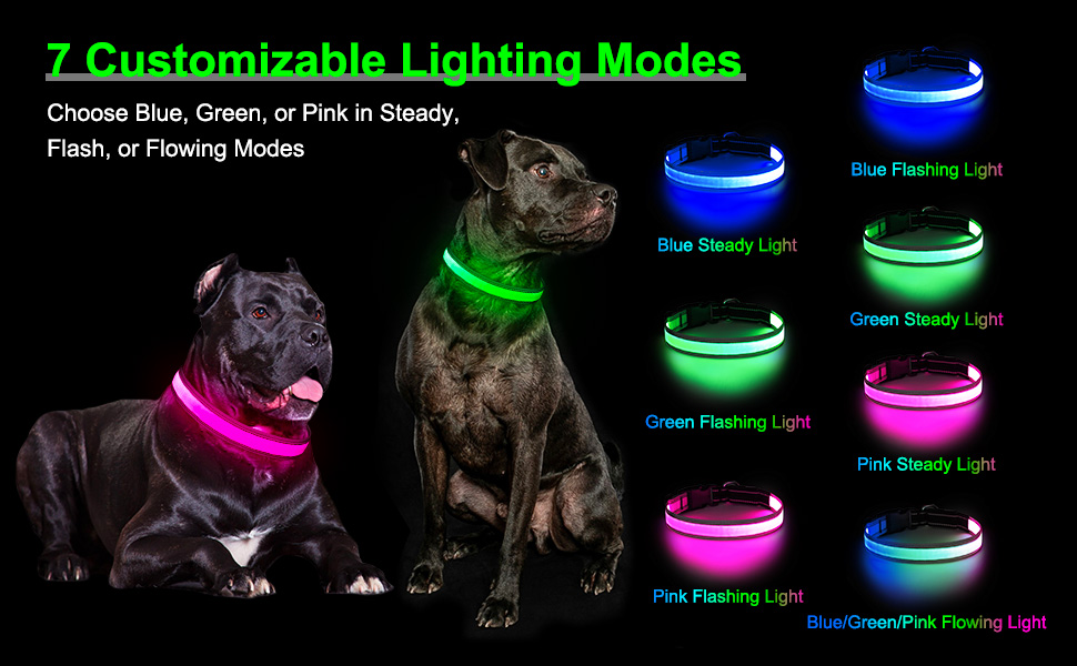 light up dog collar