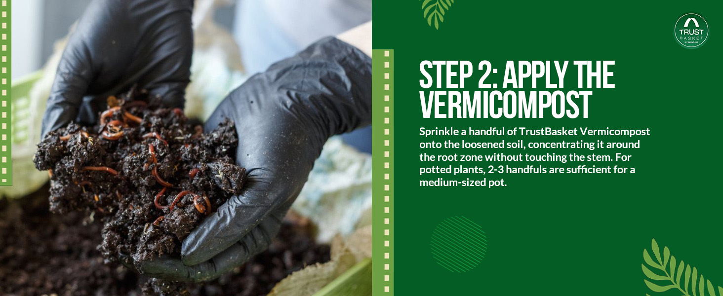 vermicompost