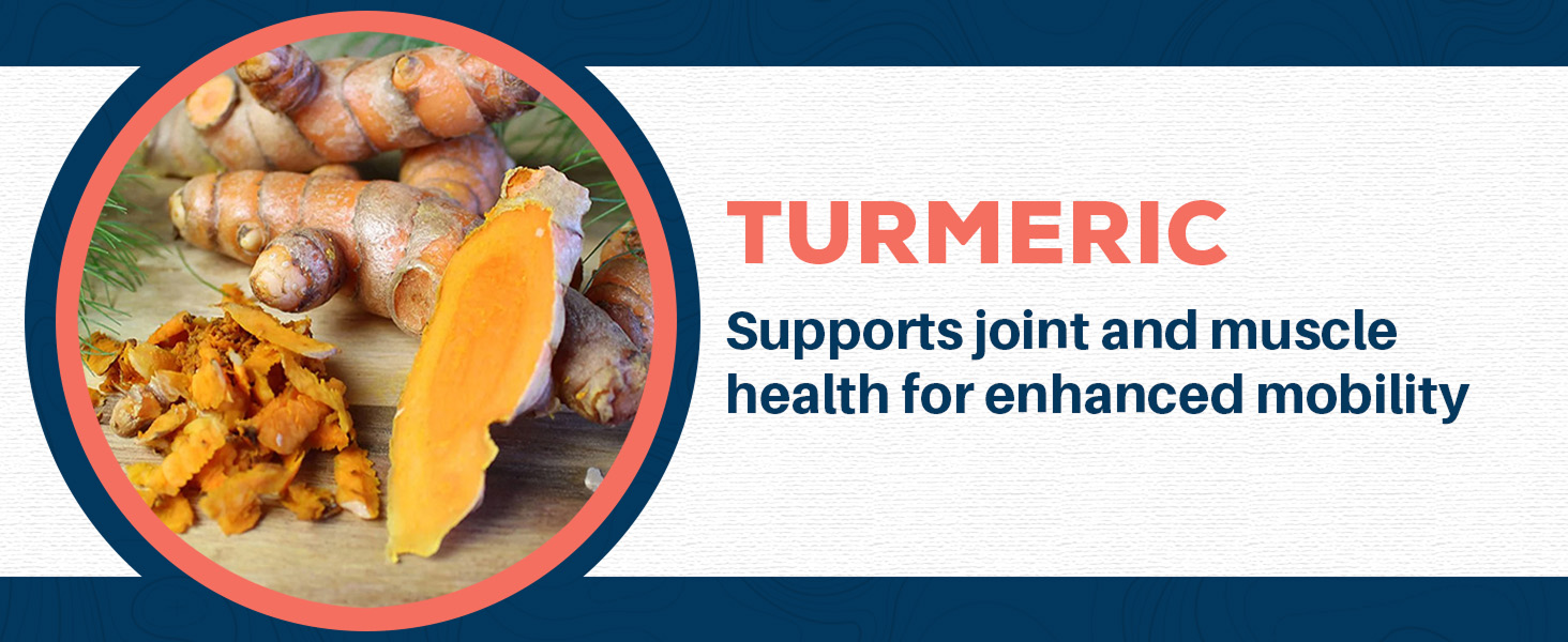 tumeric curcuma organica en polvo ground root simply weight loss women powdered pure tummeric