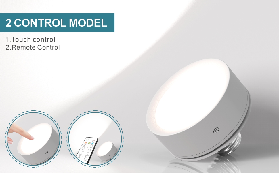 2 Pack Battery Light Bulb with Timing Function, E26 AA Battery Operated