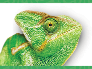 Small manufacture image 8