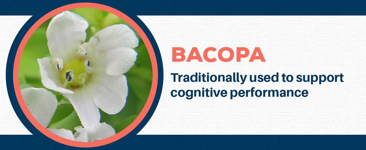 supplements extract bacoba 345 mg bacopin bicopa monnier bocopa vitamin brahmi bacomind herb