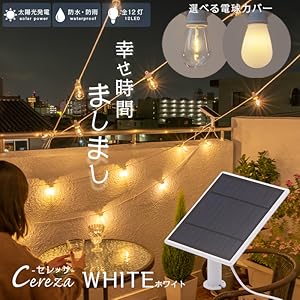 アセロラのいたずら【センタリング⭕️美品‼️即日発送‼️】 がまかつ ラグゼ 桜幻 鯛ラバーXX B67FL-solid 24721【大型商品