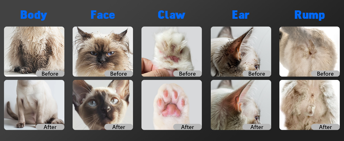 long hair cat grooming kit