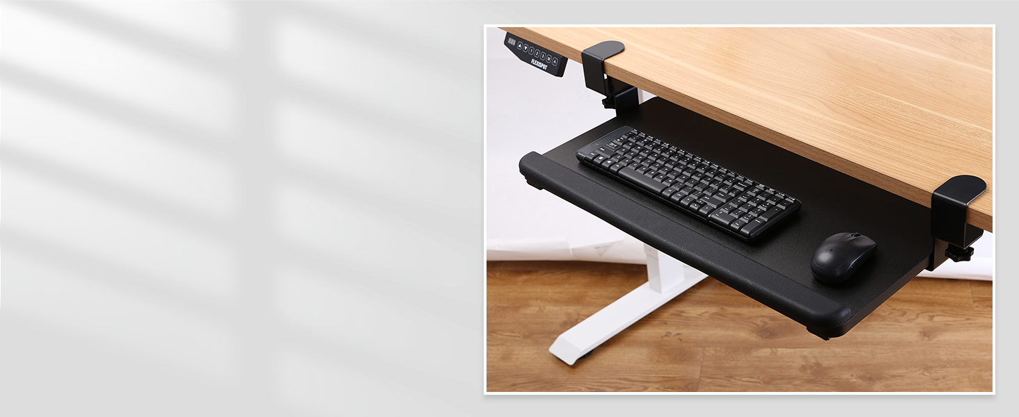 FLEXISPOT E5 Classic 3 Stages Dual Motor Electric Standing