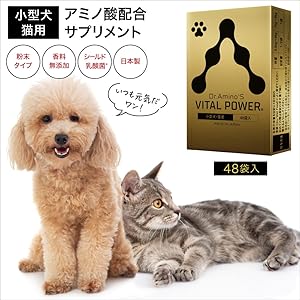 c8e8dec8-f82c-4b0c-9ec2-