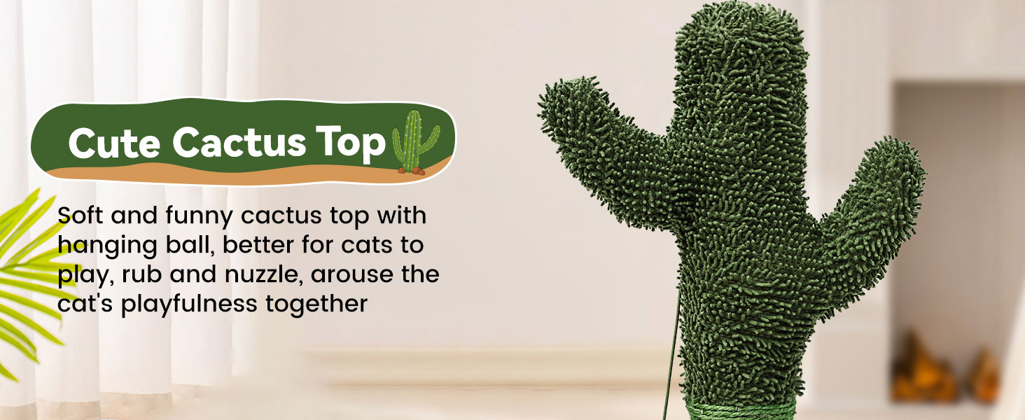 cat scratching posts