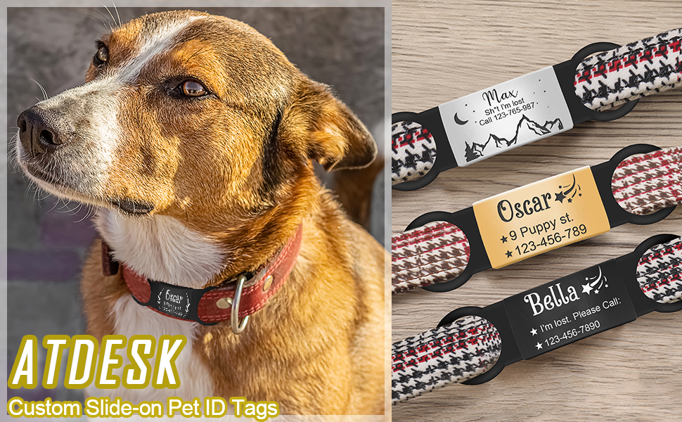 Atdesk Personalized Dog Tags, Slide On Pet ID Tag, Engraved