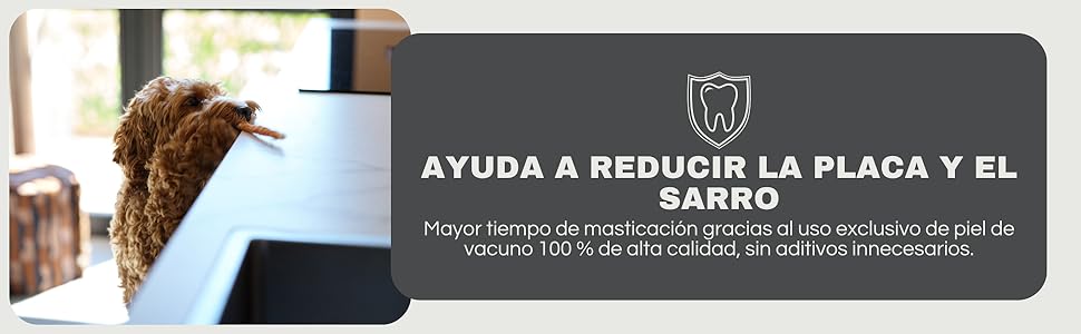 imagen de contenido adicional