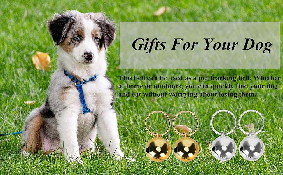 Hundehalsband mit Glöckchen