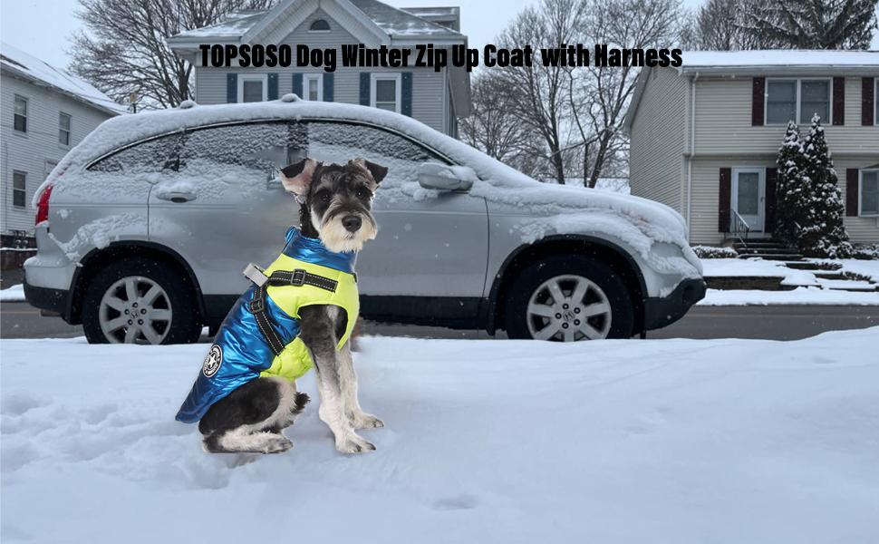 Dog Winter Coat, Padded Vest Dog Jacket Reflective and Warm Zip Up