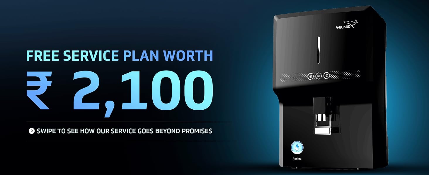 1 year service plan