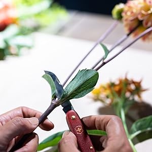 フラワーリストレッド Amazon.co.jp: VICTORINOX(ビクトリノックス) フローリスト