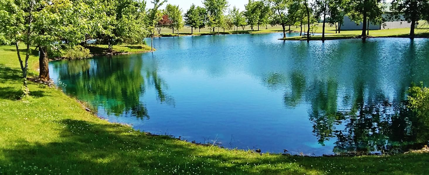 Beneficial Pond Bacteria