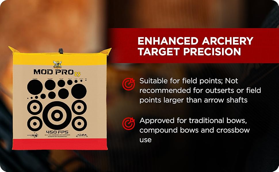 Enhanced Archery Target Precision