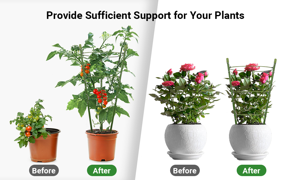 4 Pack Plant Support Tomato Cages Set for Garden & Twist