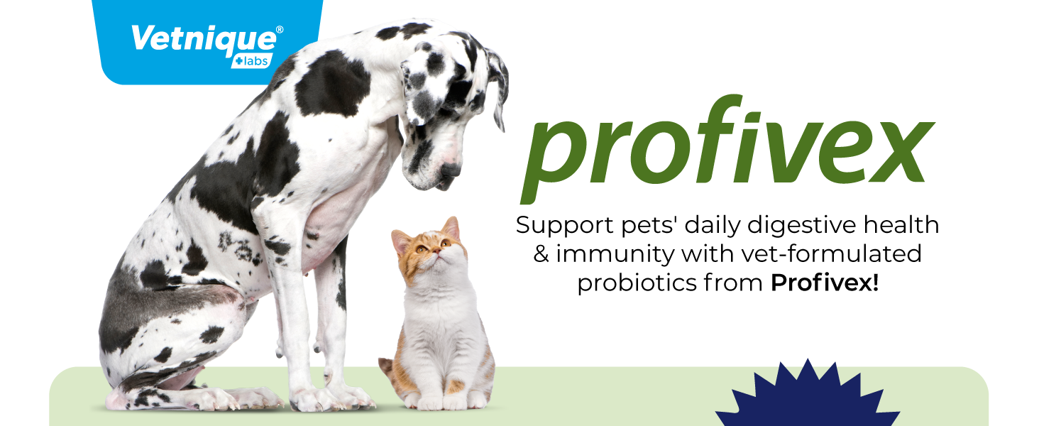 profivex probiotic chews and powder for dogs and cats